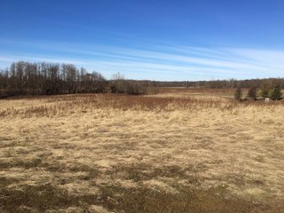 Gibson & Pike Counties, Indiana Farmland - AUCTION IS CANCELED!!
ABSOLUTE LAND AUCTION WITHOUT RESERVE - 204+/- ACRES OFFERED IN 7 TRACTS IN GIBSON & PIKE COUNTIES, INDIANA
