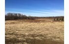 Gibson & Pike Counties, Indiana Farmland - AUCTION IS CANCELED!!
ABSOLUTE LAND AUCTION WITHOUT RESERVE - 204+/- ACRES OFFERED IN 7 TRACTS IN GIBSON & PIKE COUNTIES, INDIANA