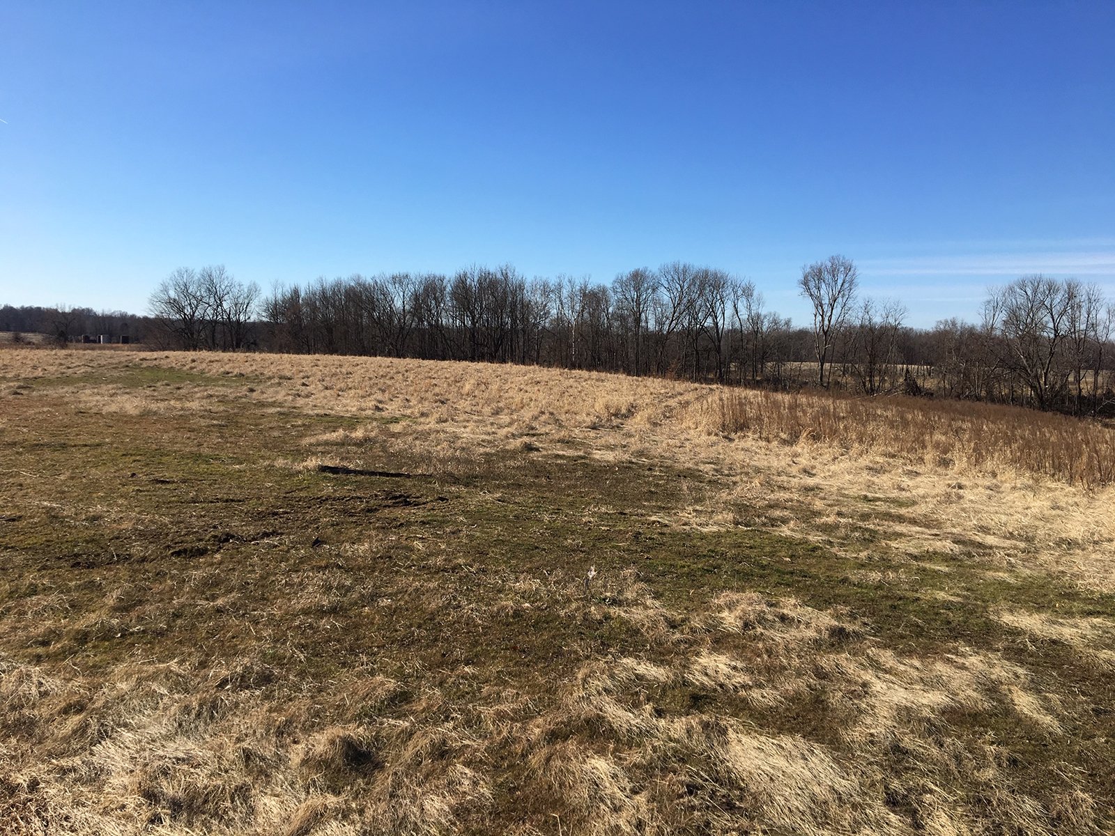 Gibson & Pike Counties, Indiana Farmland - AUCTION IS CANCELED!!
ABSOLUTE LAND AUCTION WITHOUT RESERVE - 204+/- ACRES OFFERED IN 7 TRACTS IN GIBSON & PIKE COUNTIES, INDIANA