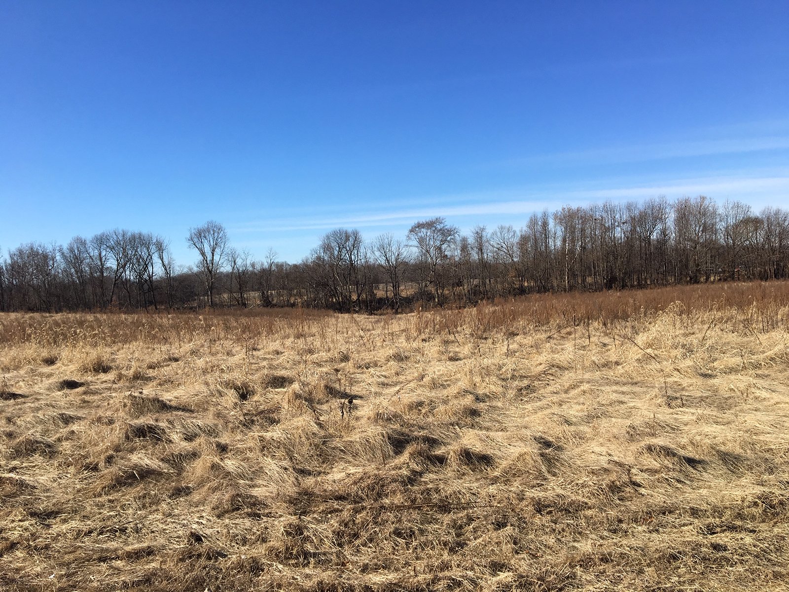 Gibson & Pike Counties, Indiana Farmland - AUCTION IS CANCELED!!
ABSOLUTE LAND AUCTION WITHOUT RESERVE - 204+/- ACRES OFFERED IN 7 TRACTS IN GIBSON & PIKE COUNTIES, INDIANA