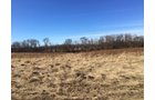 Gibson & Pike Counties, Indiana Farmland - AUCTION IS CANCELED!!
ABSOLUTE LAND AUCTION WITHOUT RESERVE - 204+/- ACRES OFFERED IN 7 TRACTS IN GIBSON & PIKE COUNTIES, INDIANA
