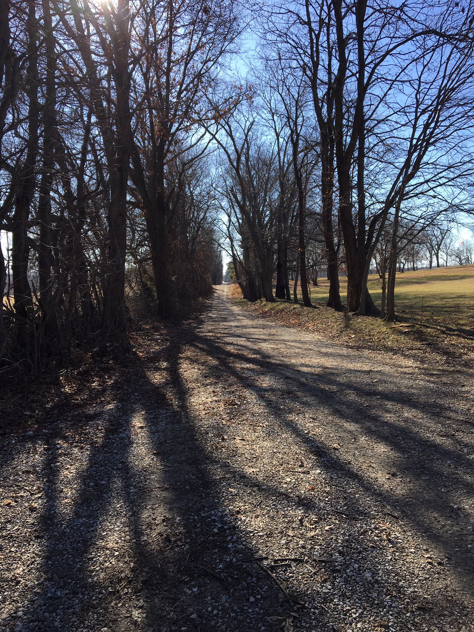 Gibson & Pike Counties, Indiana Woods - AUCTION IS CANCELED!!
ABSOLUTE LAND AUCTION WITHOUT RESERVE - 204+/- ACRES OFFERED IN 7 TRACTS IN GIBSON & PIKE COUNTIES, INDIANA