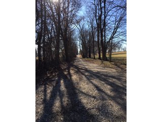 Gibson & Pike Counties, Indiana Woods - AUCTION IS CANCELED!!
ABSOLUTE LAND AUCTION WITHOUT RESERVE - 204+/- ACRES OFFERED IN 7 TRACTS IN GIBSON & PIKE COUNTIES, INDIANA