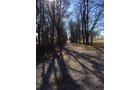Gibson & Pike Counties, Indiana Woods - AUCTION IS CANCELED!!
ABSOLUTE LAND AUCTION WITHOUT RESERVE - 204+/- ACRES OFFERED IN 7 TRACTS IN GIBSON & PIKE COUNTIES, INDIANA