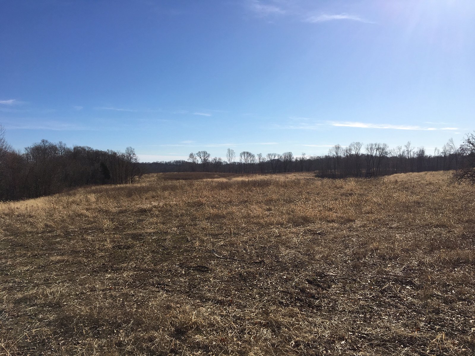 Gibson & Pike Counties, Indiana Farmland - AUCTION IS CANCELED!!
ABSOLUTE LAND AUCTION WITHOUT RESERVE - 204+/- ACRES OFFERED IN 7 TRACTS IN GIBSON & PIKE COUNTIES, INDIANA