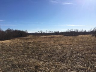 Gibson & Pike Counties, Indiana Farmland - AUCTION IS CANCELED!!
ABSOLUTE LAND AUCTION WITHOUT RESERVE - 204+/- ACRES OFFERED IN 7 TRACTS IN GIBSON & PIKE COUNTIES, INDIANA
