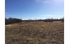 Gibson & Pike Counties, Indiana Farmland - AUCTION IS CANCELED!!
ABSOLUTE LAND AUCTION WITHOUT RESERVE - 204+/- ACRES OFFERED IN 7 TRACTS IN GIBSON & PIKE COUNTIES, INDIANA