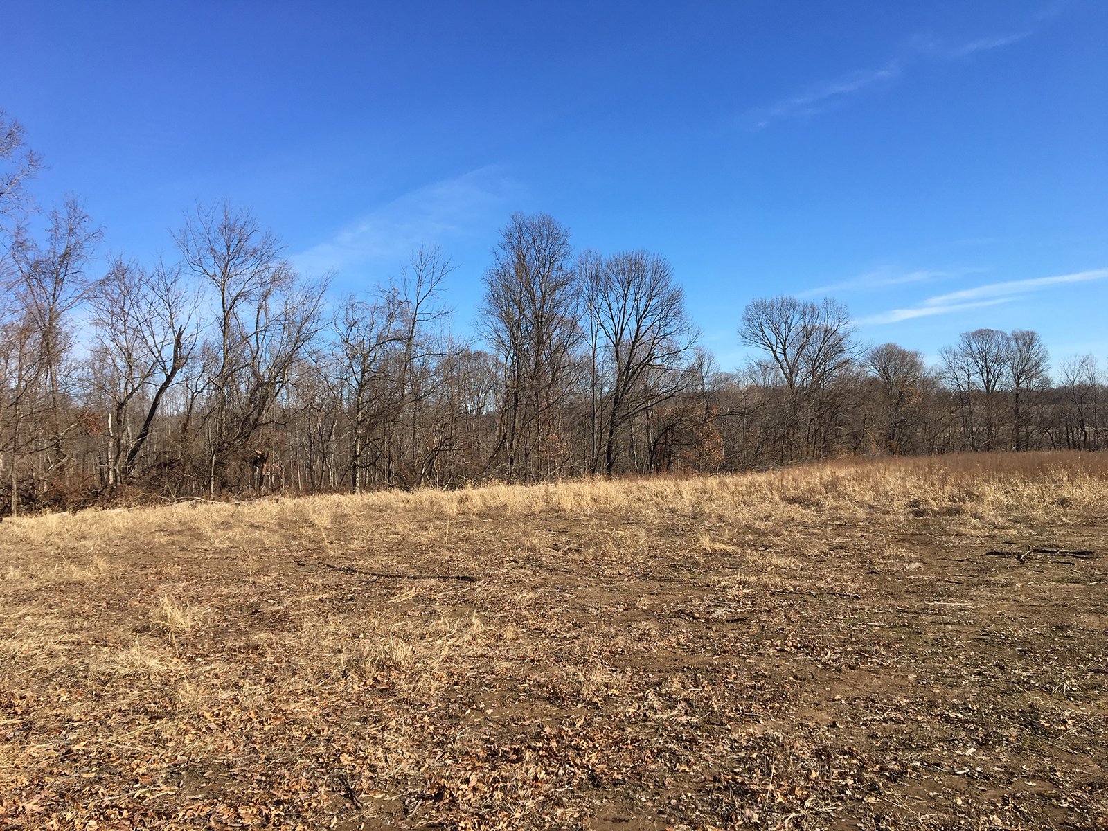 Gibson & Pike Counties, Indiana Farmland - AUCTION IS CANCELED!!
ABSOLUTE LAND AUCTION WITHOUT RESERVE - 204+/- ACRES OFFERED IN 7 TRACTS IN GIBSON & PIKE COUNTIES, INDIANA