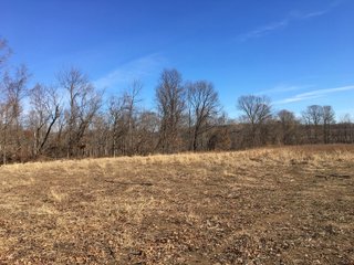 Gibson & Pike Counties, Indiana Farmland - AUCTION IS CANCELED!!
ABSOLUTE LAND AUCTION WITHOUT RESERVE - 204+/- ACRES OFFERED IN 7 TRACTS IN GIBSON & PIKE COUNTIES, INDIANA