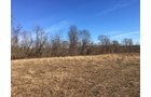 Gibson & Pike Counties, Indiana Farmland - AUCTION IS CANCELED!!
ABSOLUTE LAND AUCTION WITHOUT RESERVE - 204+/- ACRES OFFERED IN 7 TRACTS IN GIBSON & PIKE COUNTIES, INDIANA