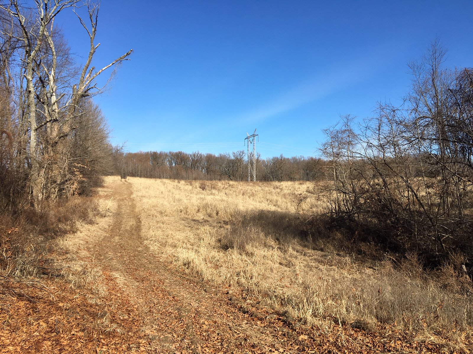 Gibson & Pike Counties, Indiana Farmland - AUCTION IS CANCELED!!
ABSOLUTE LAND AUCTION WITHOUT RESERVE - 204+/- ACRES OFFERED IN 7 TRACTS IN GIBSON & PIKE COUNTIES, INDIANA