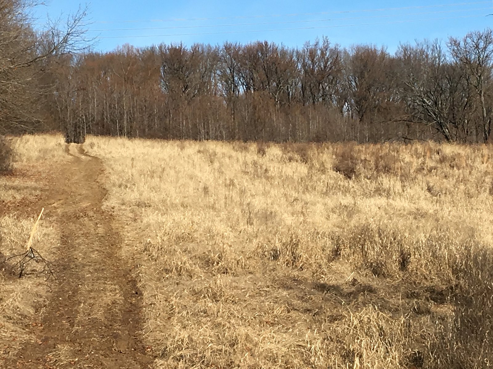 Gibson & Pike Counties, Indiana Farmland - AUCTION IS CANCELED!!
ABSOLUTE LAND AUCTION WITHOUT RESERVE - 204+/- ACRES OFFERED IN 7 TRACTS IN GIBSON & PIKE COUNTIES, INDIANA