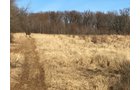 Gibson & Pike Counties, Indiana Farmland - AUCTION IS CANCELED!!
ABSOLUTE LAND AUCTION WITHOUT RESERVE - 204+/- ACRES OFFERED IN 7 TRACTS IN GIBSON & PIKE COUNTIES, INDIANA