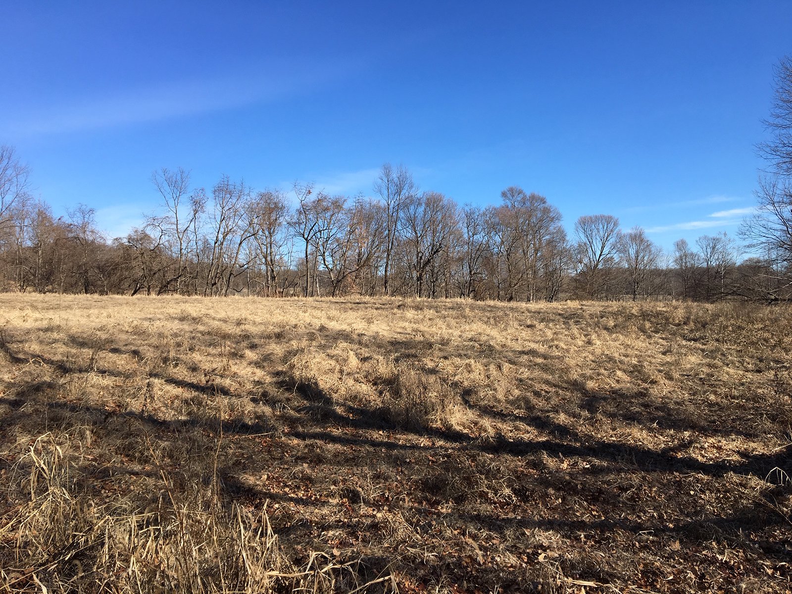 Gibson & Pike Counties, Indiana Farmland - AUCTION IS CANCELED!!
ABSOLUTE LAND AUCTION WITHOUT RESERVE - 204+/- ACRES OFFERED IN 7 TRACTS IN GIBSON & PIKE COUNTIES, INDIANA