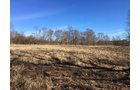 Gibson & Pike Counties, Indiana Farmland - AUCTION IS CANCELED!!
ABSOLUTE LAND AUCTION WITHOUT RESERVE - 204+/- ACRES OFFERED IN 7 TRACTS IN GIBSON & PIKE COUNTIES, INDIANA
