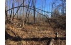 Gibson & Pike Counties, Indiana Woods - AUCTION IS CANCELED!!
ABSOLUTE LAND AUCTION WITHOUT RESERVE - 204+/- ACRES OFFERED IN 7 TRACTS IN GIBSON & PIKE COUNTIES, INDIANA