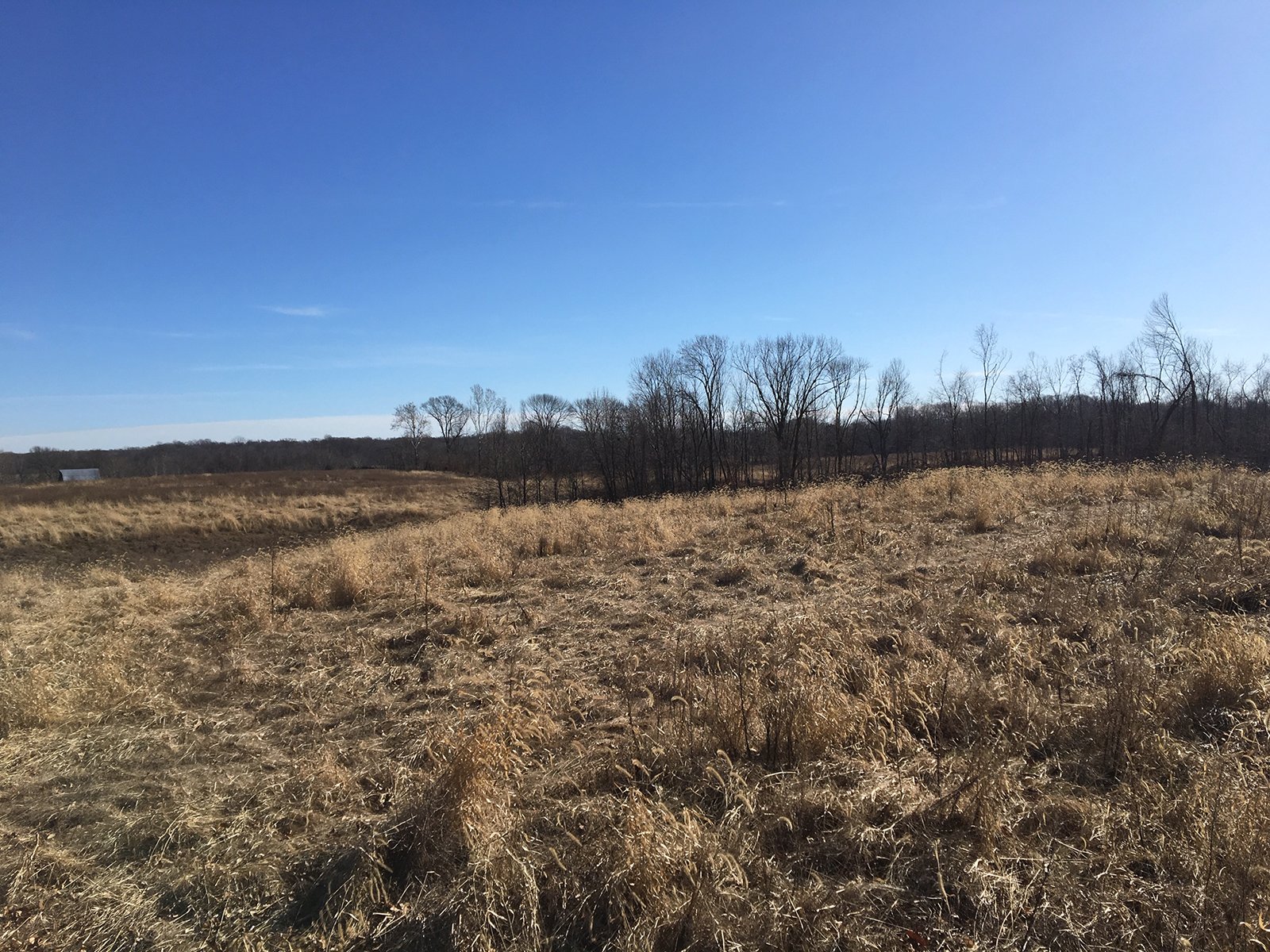 Gibson & Pike Counties, Indiana Farmland - AUCTION IS CANCELED!!
ABSOLUTE LAND AUCTION WITHOUT RESERVE - 204+/- ACRES OFFERED IN 7 TRACTS IN GIBSON & PIKE COUNTIES, INDIANA