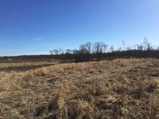 Gibson & Pike Counties, Indiana Farmland - AUCTION IS CANCELED!!
ABSOLUTE LAND AUCTION WITHOUT RESERVE - 204+/- ACRES OFFERED IN 7 TRACTS IN GIBSON & PIKE COUNTIES, INDIANA