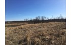 Gibson & Pike Counties, Indiana Farmland - AUCTION IS CANCELED!!
ABSOLUTE LAND AUCTION WITHOUT RESERVE - 204+/- ACRES OFFERED IN 7 TRACTS IN GIBSON & PIKE COUNTIES, INDIANA
