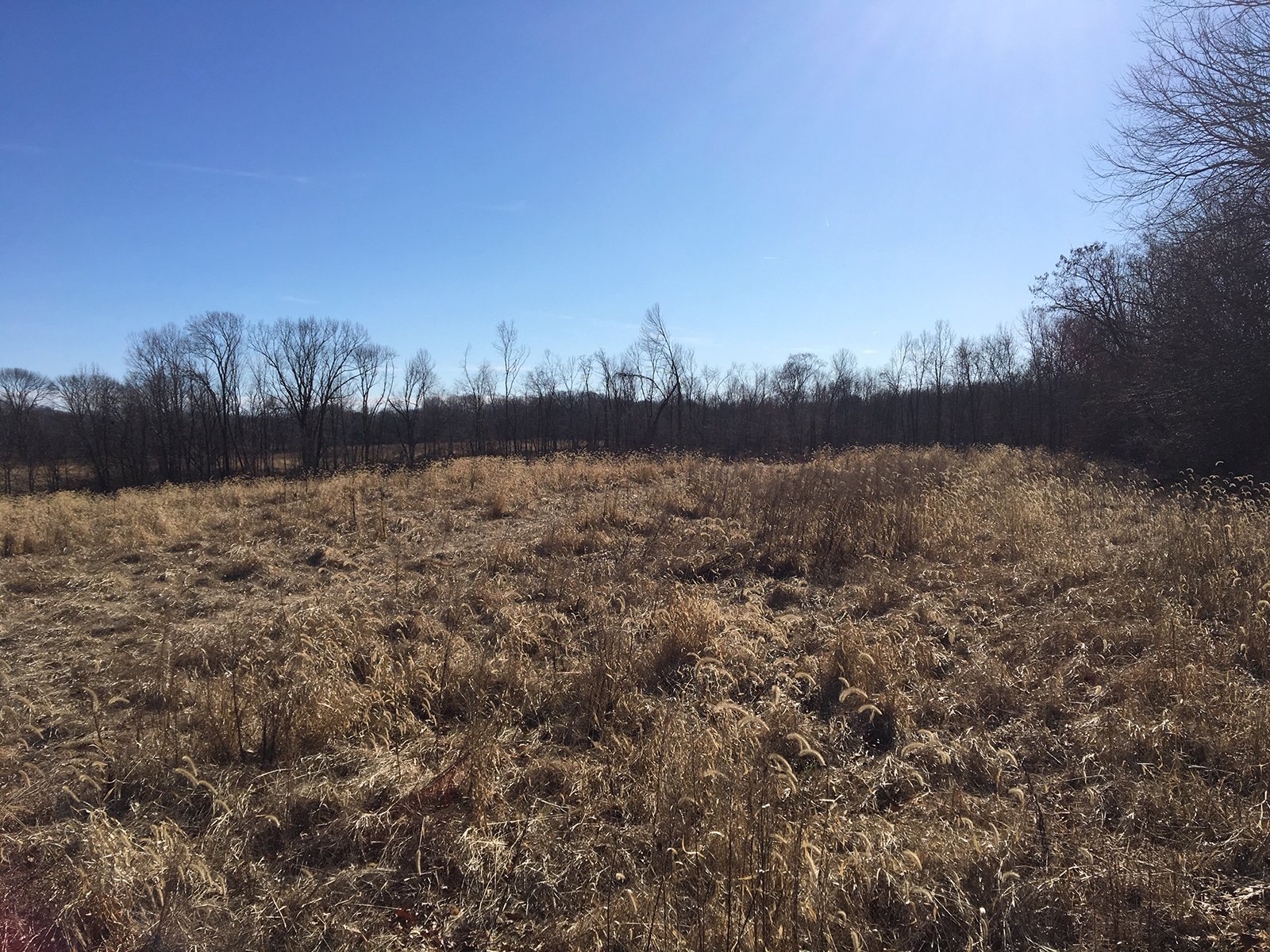 Gibson & Pike Counties, Indiana Farmland - AUCTION IS CANCELED!!
ABSOLUTE LAND AUCTION WITHOUT RESERVE - 204+/- ACRES OFFERED IN 7 TRACTS IN GIBSON & PIKE COUNTIES, INDIANA