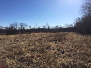 Gibson & Pike Counties, Indiana Farmland - AUCTION IS CANCELED!!
ABSOLUTE LAND AUCTION WITHOUT RESERVE - 204+/- ACRES OFFERED IN 7 TRACTS IN GIBSON & PIKE COUNTIES, INDIANA
