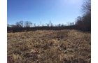 Gibson & Pike Counties, Indiana Farmland - AUCTION IS CANCELED!!
ABSOLUTE LAND AUCTION WITHOUT RESERVE - 204+/- ACRES OFFERED IN 7 TRACTS IN GIBSON & PIKE COUNTIES, INDIANA