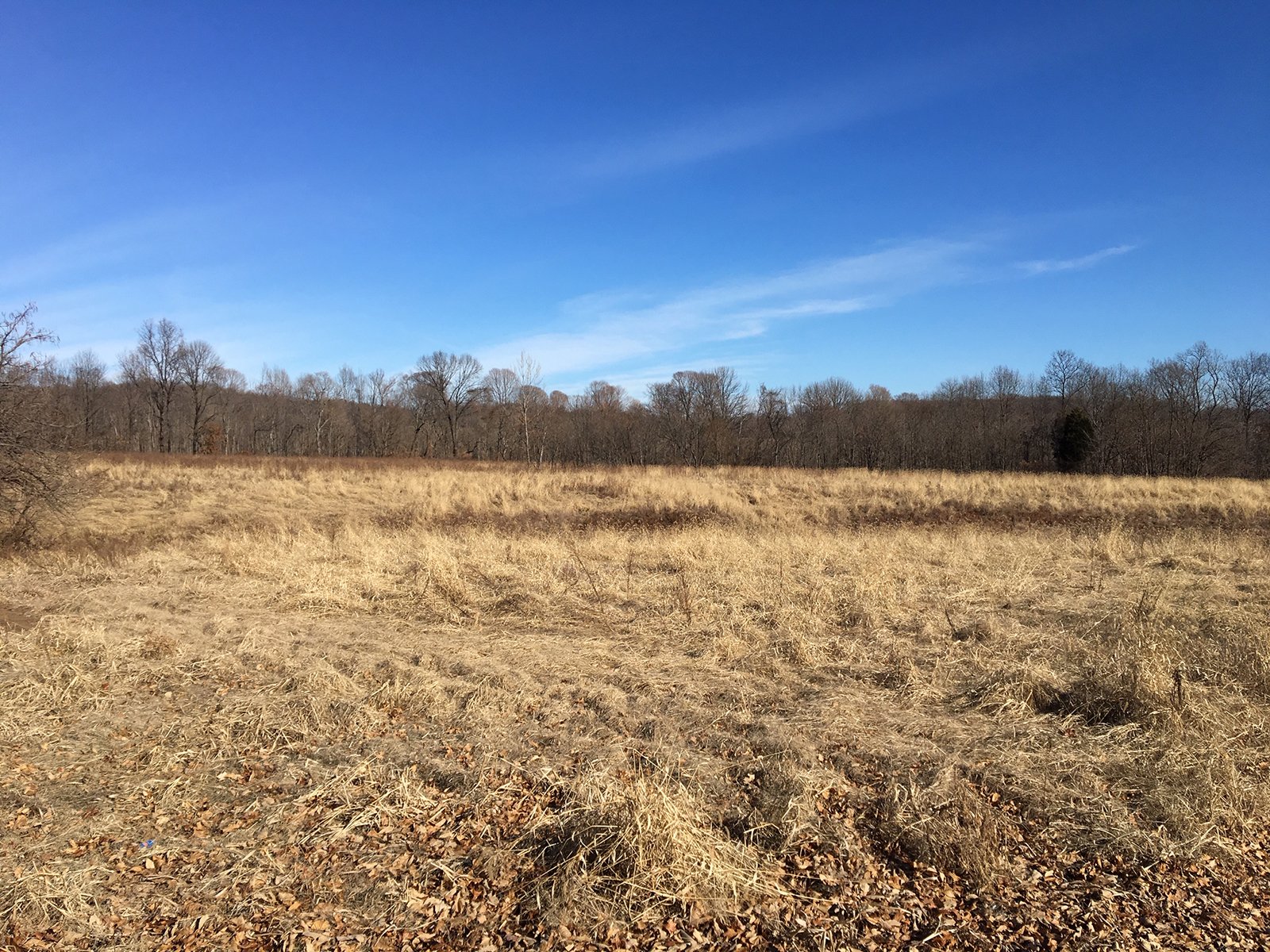 Gibson & Pike Counties, Indiana Farmland - AUCTION IS CANCELED!!
ABSOLUTE LAND AUCTION WITHOUT RESERVE - 204+/- ACRES OFFERED IN 7 TRACTS IN GIBSON & PIKE COUNTIES, INDIANA