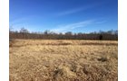 Gibson & Pike Counties, Indiana Farmland - AUCTION IS CANCELED!!
ABSOLUTE LAND AUCTION WITHOUT RESERVE - 204+/- ACRES OFFERED IN 7 TRACTS IN GIBSON & PIKE COUNTIES, INDIANA