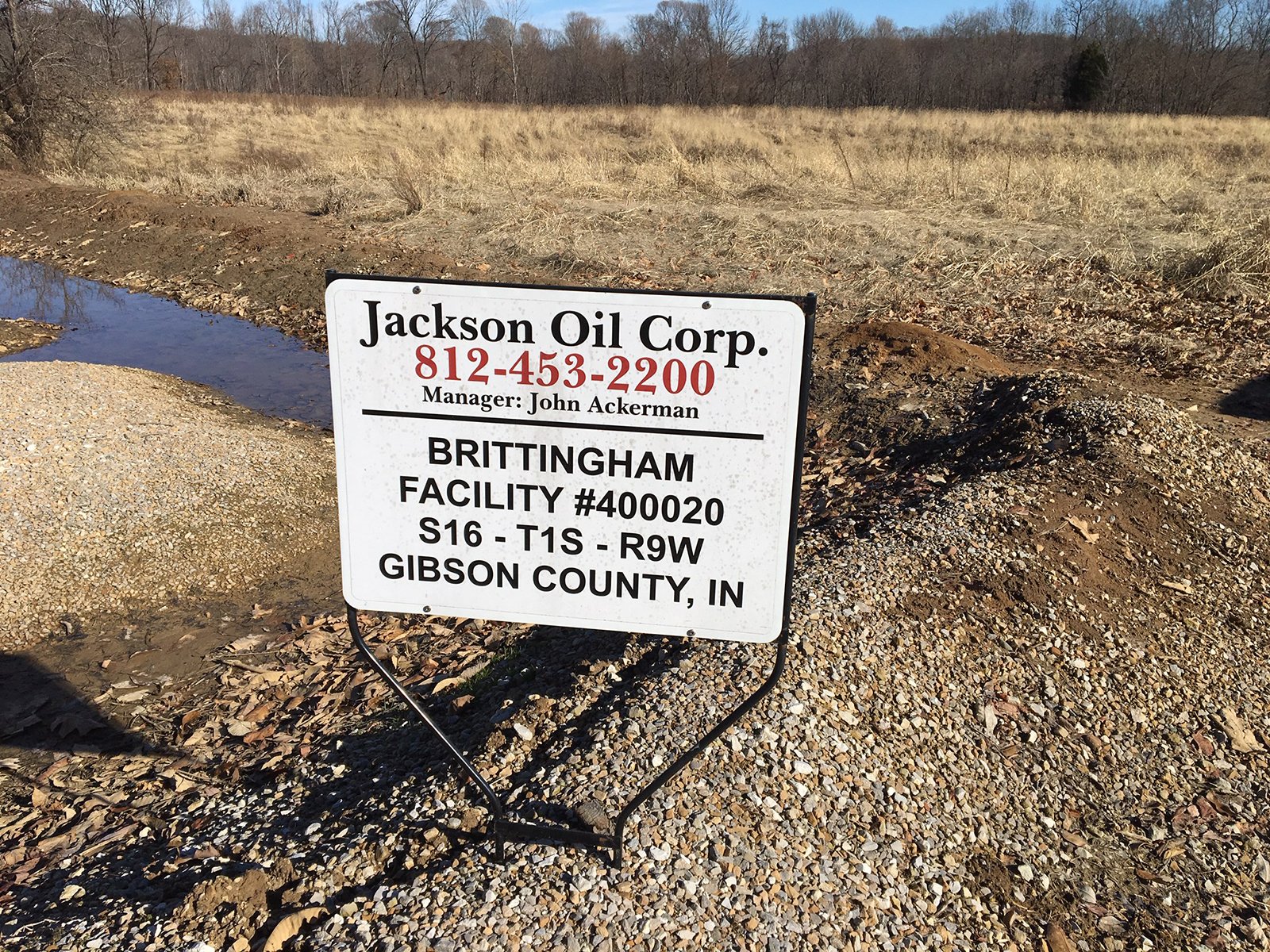 Gibson & Pike Counties, Indiana Farmland - AUCTION IS CANCELED!!
ABSOLUTE LAND AUCTION WITHOUT RESERVE - 204+/- ACRES OFFERED IN 7 TRACTS IN GIBSON & PIKE COUNTIES, INDIANA