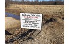 Gibson & Pike Counties, Indiana Farmland - AUCTION IS CANCELED!!
ABSOLUTE LAND AUCTION WITHOUT RESERVE - 204+/- ACRES OFFERED IN 7 TRACTS IN GIBSON & PIKE COUNTIES, INDIANA