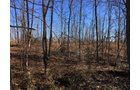 Gibson & Pike Counties, Indiana Woods - AUCTION IS CANCELED!!
ABSOLUTE LAND AUCTION WITHOUT RESERVE - 204+/- ACRES OFFERED IN 7 TRACTS IN GIBSON & PIKE COUNTIES, INDIANA