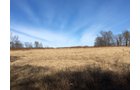 Gibson & Pike Counties, Indiana Farmland - AUCTION IS CANCELED!!
ABSOLUTE LAND AUCTION WITHOUT RESERVE - 204+/- ACRES OFFERED IN 7 TRACTS IN GIBSON & PIKE COUNTIES, INDIANA