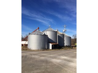 Grain Elevator in Gibson & Pike Counties, Indiana - AUCTION IS CANCELED!!
ABSOLUTE LAND AUCTION WITHOUT RESERVE - 204+/- ACRES OFFERED IN 7 TRACTS IN GIBSON & PIKE COUNTIES, INDIANA