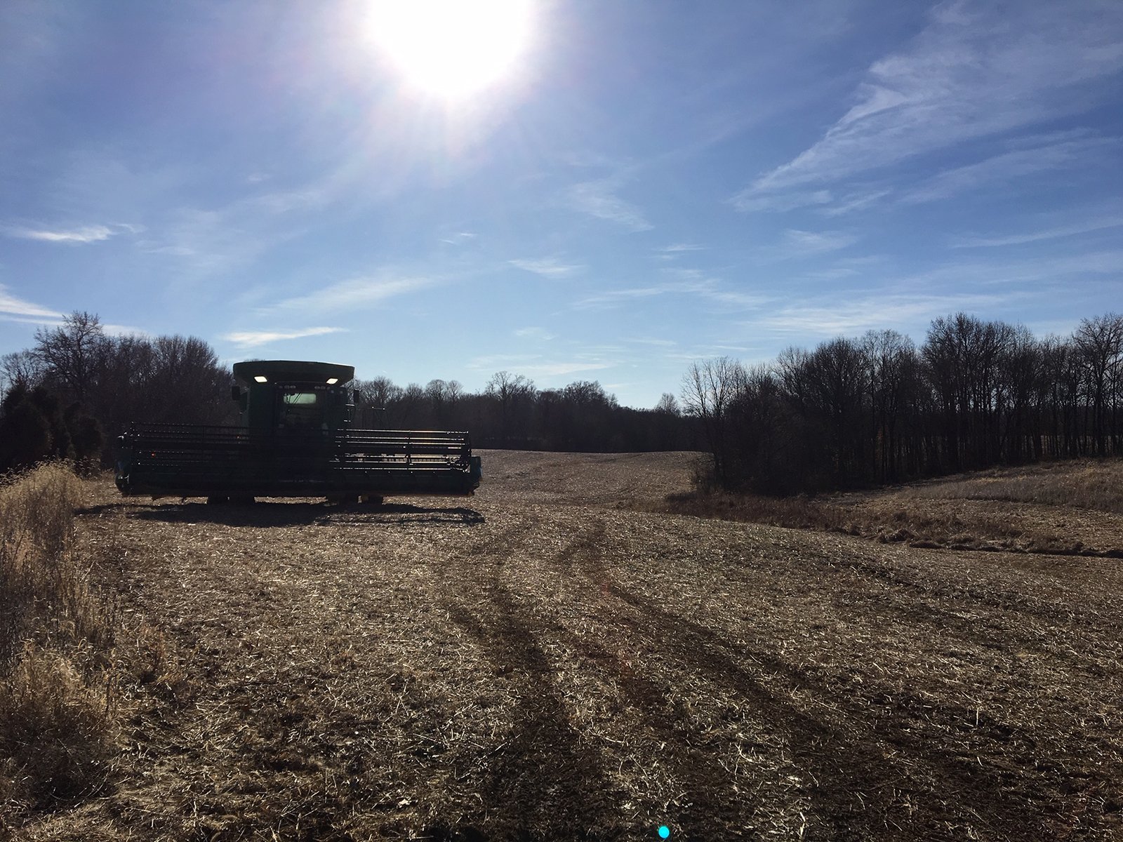 Gibson & Pike Counties, Indiana Farmland - AUCTION IS CANCELED!!
ABSOLUTE LAND AUCTION WITHOUT RESERVE - 204+/- ACRES OFFERED IN 7 TRACTS IN GIBSON & PIKE COUNTIES, INDIANA