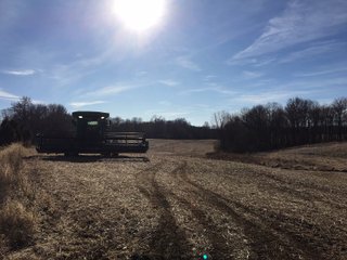 Gibson & Pike Counties, Indiana Farmland - AUCTION IS CANCELED!!
ABSOLUTE LAND AUCTION WITHOUT RESERVE - 204+/- ACRES OFFERED IN 7 TRACTS IN GIBSON & PIKE COUNTIES, INDIANA