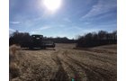 Gibson & Pike Counties, Indiana Farmland - AUCTION IS CANCELED!!
ABSOLUTE LAND AUCTION WITHOUT RESERVE - 204+/- ACRES OFFERED IN 7 TRACTS IN GIBSON & PIKE COUNTIES, INDIANA