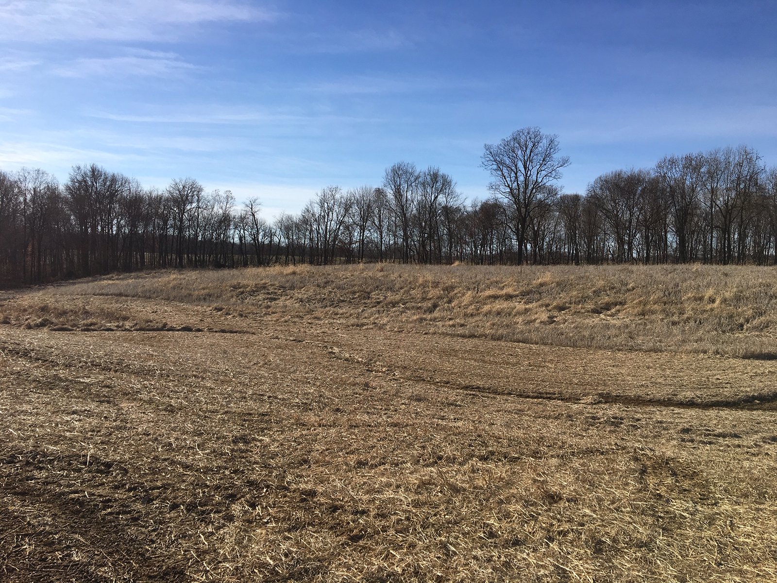Gibson & Pike Counties, Indiana Farmland - AUCTION IS CANCELED!!
ABSOLUTE LAND AUCTION WITHOUT RESERVE - 204+/- ACRES OFFERED IN 7 TRACTS IN GIBSON & PIKE COUNTIES, INDIANA