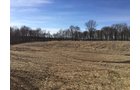 Gibson & Pike Counties, Indiana Farmland - AUCTION IS CANCELED!!
ABSOLUTE LAND AUCTION WITHOUT RESERVE - 204+/- ACRES OFFERED IN 7 TRACTS IN GIBSON & PIKE COUNTIES, INDIANA