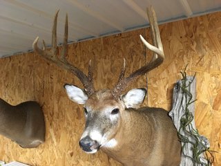 Deer Harvested on Nov. 2018 - LAND AUCTION - 304+/- ACRES OFFERED IN 4 TRACTS IN LOGAN COUNTY, OHIO