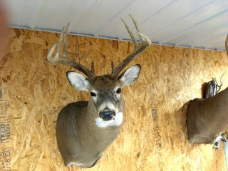 Deer Harvested on Nov. 2017 - LAND AUCTION - 304+/- ACRES OFFERED IN 4 TRACTS IN LOGAN COUNTY, OHIO