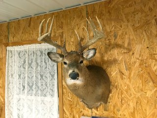 Deer Harvested on Nov. 2016 - LAND AUCTION - 304+/- ACRES OFFERED IN 4 TRACTS IN LOGAN COUNTY, OHIO