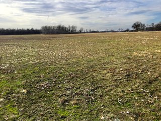 Logan County, Ohio farmland - LAND AUCTION - 304+/- ACRES OFFERED IN 4 TRACTS IN LOGAN COUNTY, OHIO