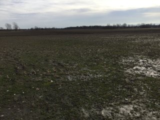 Logan County, Ohio farmland - LAND AUCTION - 304+/- ACRES OFFERED IN 4 TRACTS IN LOGAN COUNTY, OHIO