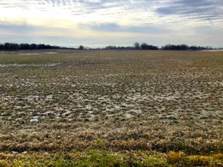 Logan County, Ohio farmland - LAND AUCTION - 304+/- ACRES OFFERED IN 4 TRACTS IN LOGAN COUNTY, OHIO