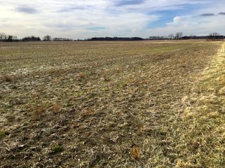 Logan County, Ohio farmland - LAND AUCTION - 304+/- ACRES OFFERED IN 4 TRACTS IN LOGAN COUNTY, OHIO