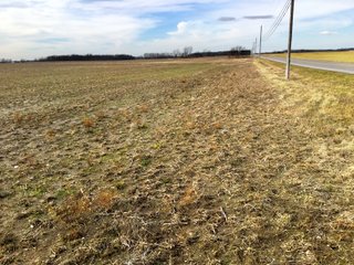 Logan County, Ohio farmland - LAND AUCTION - 304+/- ACRES OFFERED IN 4 TRACTS IN LOGAN COUNTY, OHIO