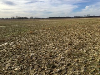 Logan County, Ohio farmland - LAND AUCTION - 304+/- ACRES OFFERED IN 4 TRACTS IN LOGAN COUNTY, OHIO