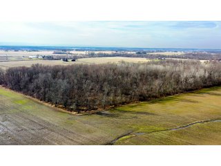 Trophy Deer Harvested on Tract 4 - Logan County, Ohio farmland - LAND AUCTION - 304+/- ACRES OFFERED IN 4 TRACTS IN LOGAN COUNTY, OHIO