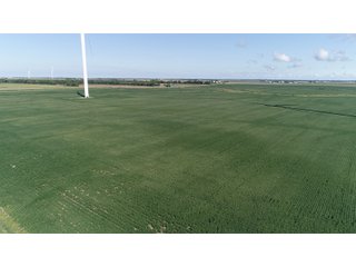 Vermillion County, Illinois Farmland - IMPORTANT FARMLAND & WIND INCOME AUCTION - 874+/- ACRES OFFERED IN 16 TRACTS WITH 6 FARMS IN VERMILION COUNTY, ILLINOIS