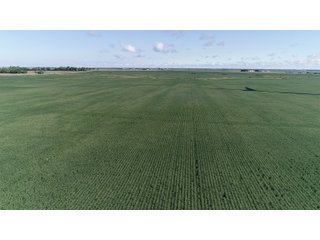 Vermillion County, Illinois Farmland - IMPORTANT FARMLAND & WIND INCOME AUCTION - 874+/- ACRES OFFERED IN 16 TRACTS WITH 6 FARMS IN VERMILION COUNTY, ILLINOIS